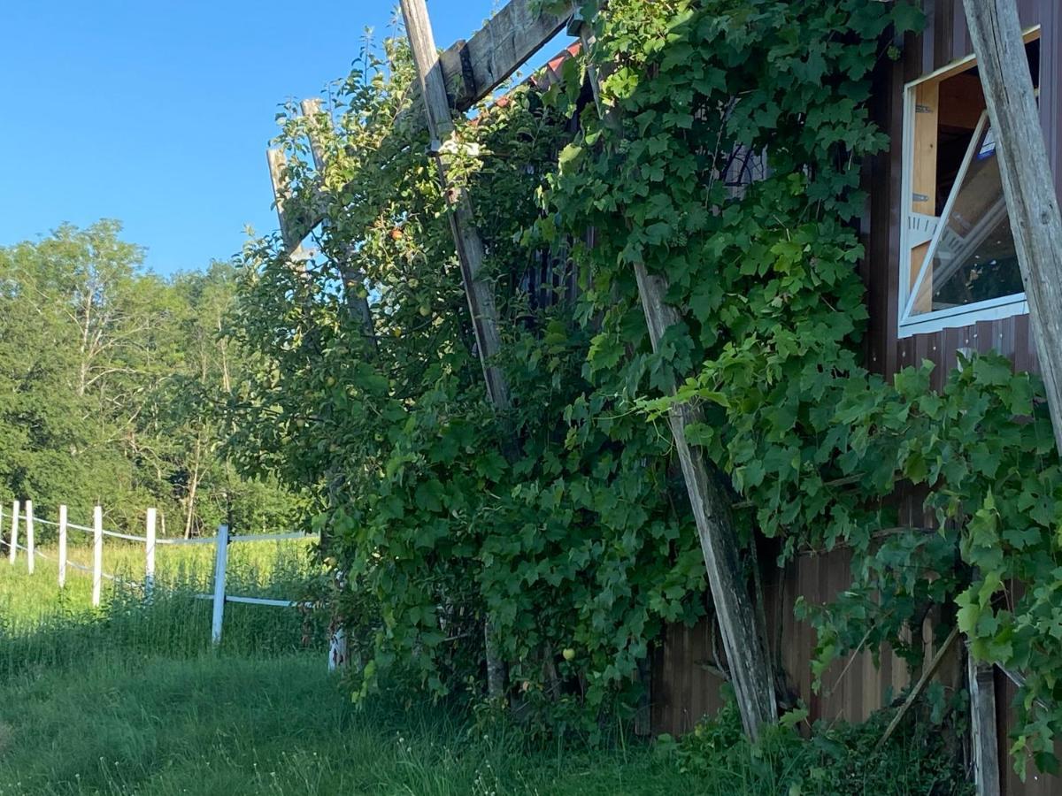 Apartament Annahof Argenbuhl Zewnętrze zdjęcie